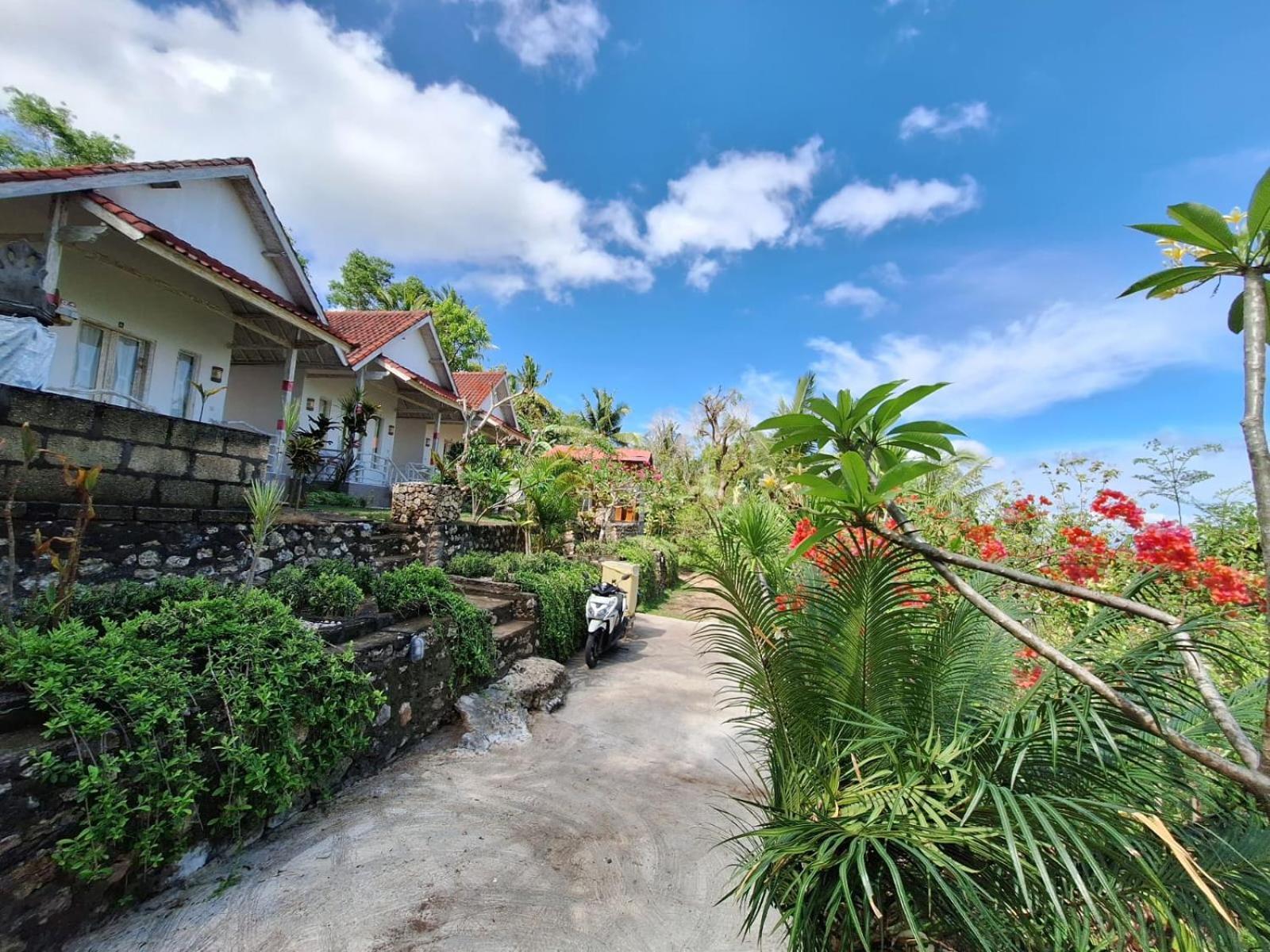 La Colina Bungalow Ped ภายนอก รูปภาพ